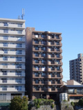 いとう仙の画像