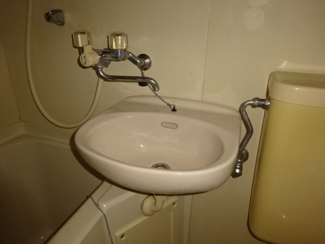 シティゴールドの洗面所