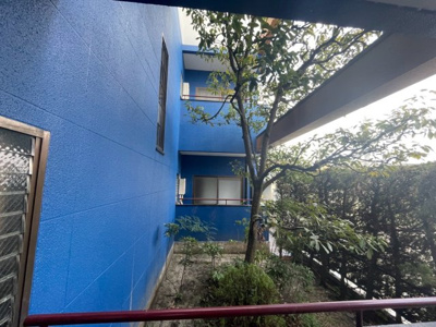 【展望】 | ピュアフラット１２