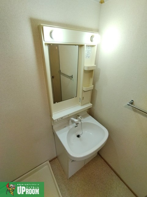 ブランニュー白山の洗面所