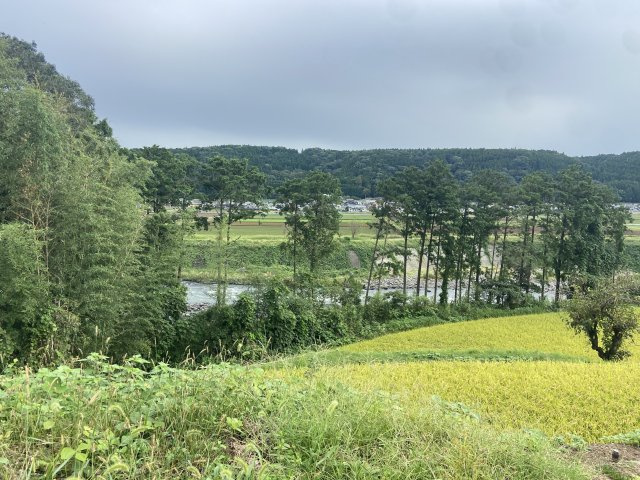 【展望】 | 菊池郡大津町大字陣内