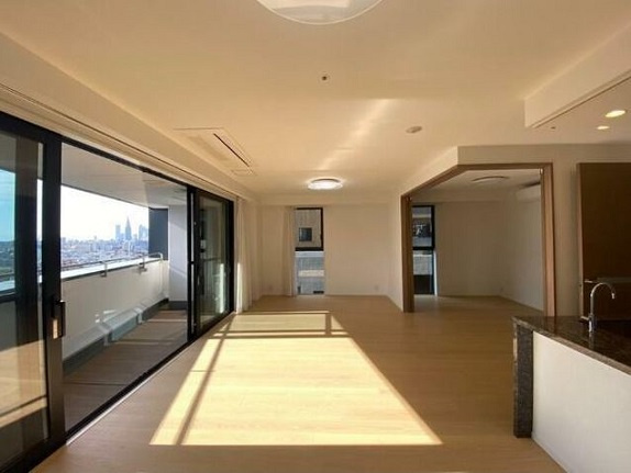 千代田区麹町６丁目の賃貸マンションのその他|リビング