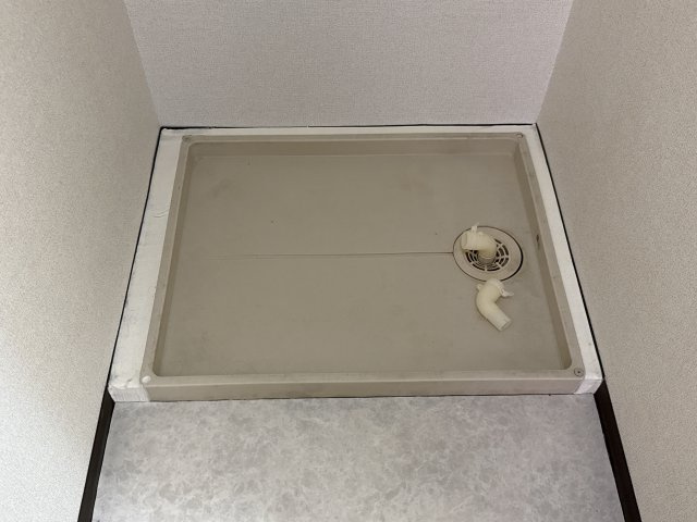 フォレストのその他