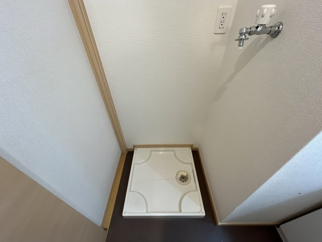 プラーチドⅡのその他