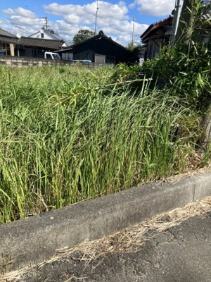 【外観】 | 曽於郡大崎町菱田(全2筆)　売地