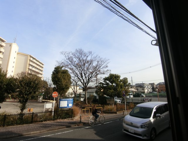 ルピナス久末の展望