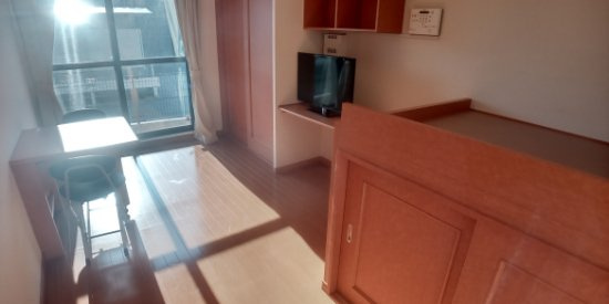 レオパレス花忍の居間・リビング