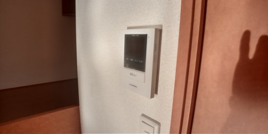 レオパレス花忍のその他