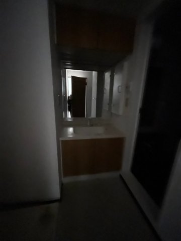 ファミール天神橋グリーンアベニューの洗面所