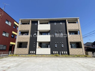 プラシードの画像