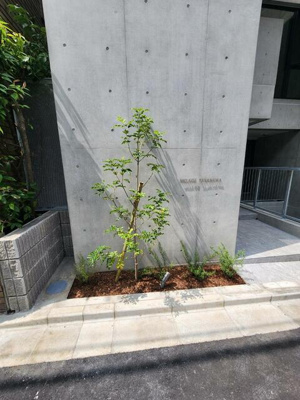 【エントランス】 | Ｖｉｌｌａｇｅ高輪 |  