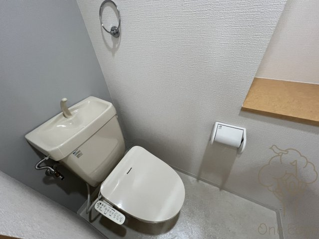 ブルグリンコート梅田北のトイレ