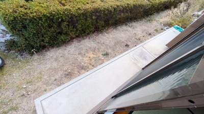 【庭】 | オリーブ鶴原