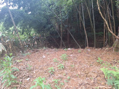 【外観】 | 岩美郡岩美町田河内土地