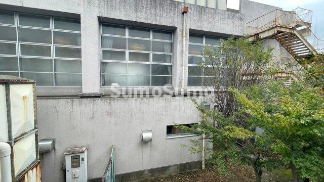 ニューソフィスリー弦巻の展望