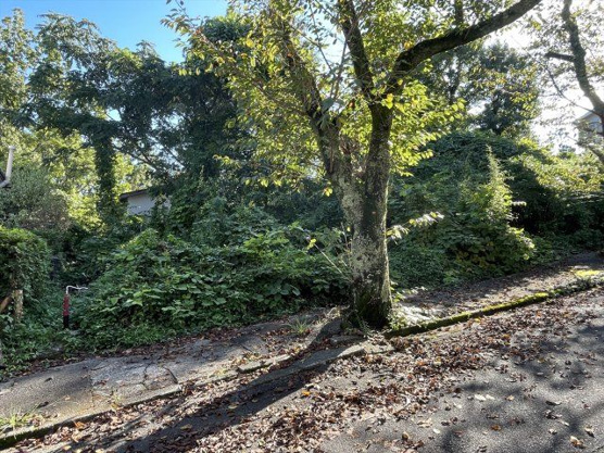 【外観】 | 大室高原別荘地　売地