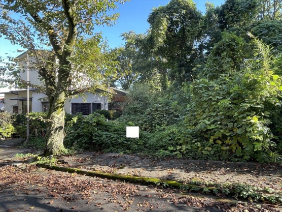 【外観】 | 大室高原別荘地　売地