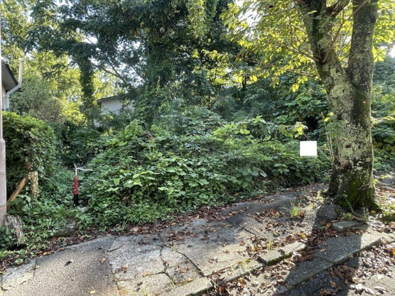 【外観】 | 大室高原別荘地　売地