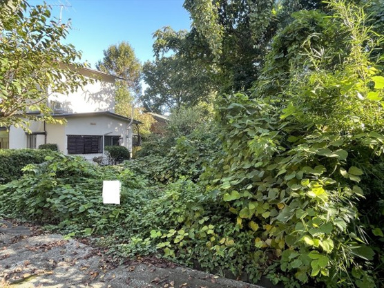 【外観】 | 大室高原別荘地　売地