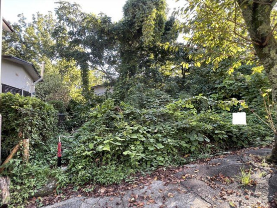 【外観】 | 大室高原別荘地　売地