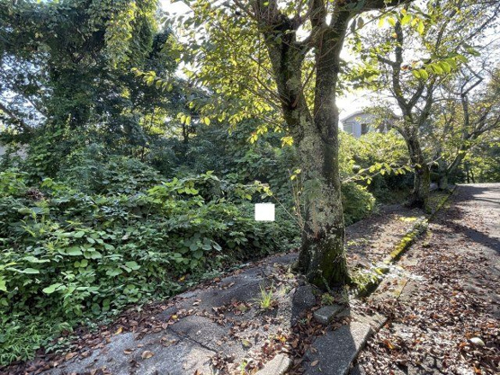 【外観】 | 大室高原別荘地　売地