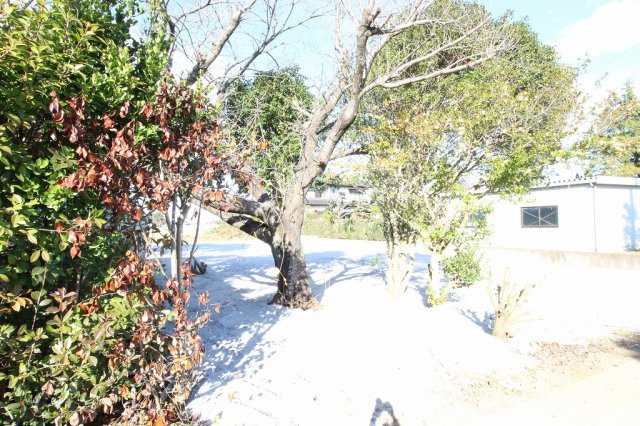 筑西市藤ケ谷の周辺|現地を南西側から撮影（2024年12月撮影）