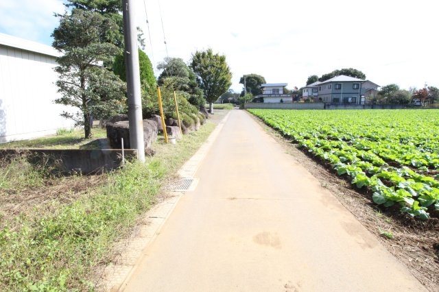 筑西市藤ケ谷の前面道路含む現地写真