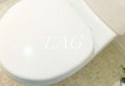 【トイレ】 | シンエンライト立川  | トイレです。