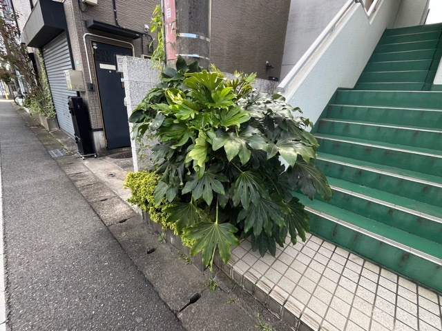【庭】 | キャトルセゾン淵野辺