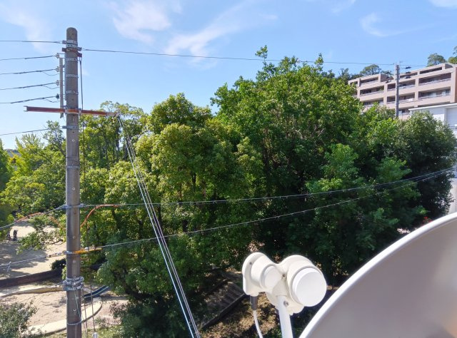 西宮市樋之池町　土地の周辺