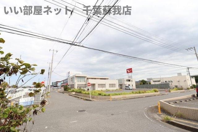 ベイリーフの展望