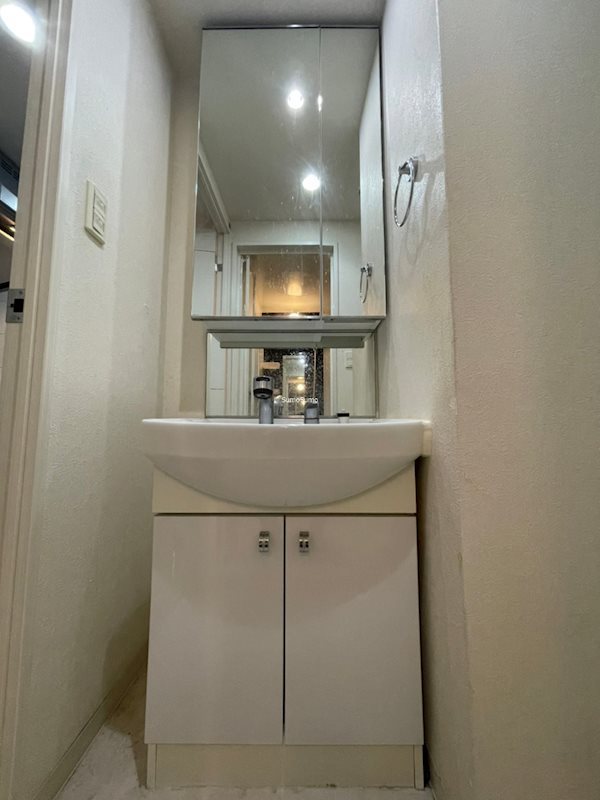 エスリード難波WESTの洗面所