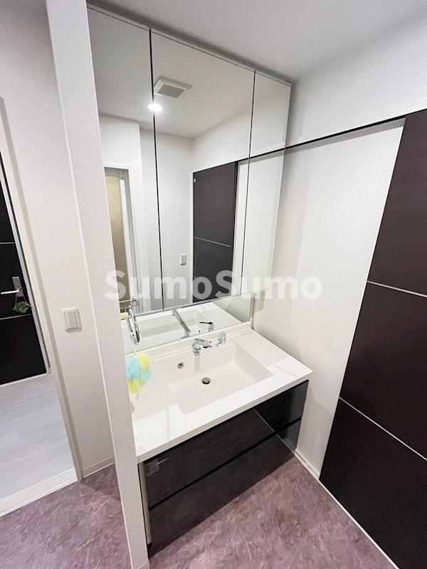 AMISTAD（アミスター）の洗面所|広い洗面スペース