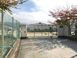 シティパレス川之上町の周辺|小学校「奈良市立飛鳥小学校まで774m」