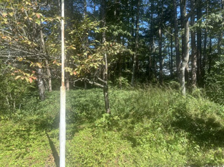 【外観】 | 【北杜市高根町長沢】アルプスハイランド内にある林の土地