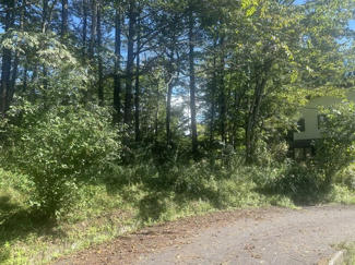 【外観】 | 【北杜市高根町長沢】アルプスハイランド内にある林の土地