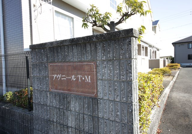 アヴニールT・Mのその他