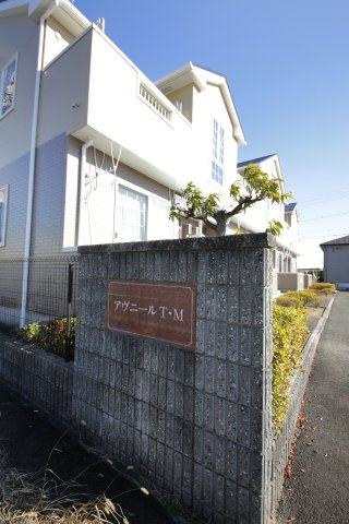 アヴニールT・Mのその他