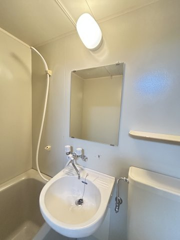 城の下ハイツA棟の洗面所