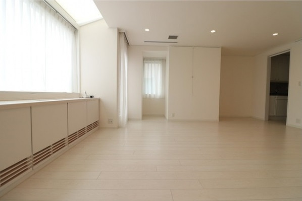 渋谷区広尾１丁目の賃貸マンションのその他|リビング