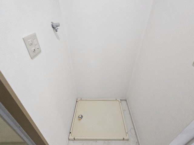チェスナットのその他