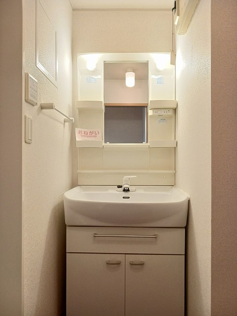 ドゥーハウスⅢの洗面所