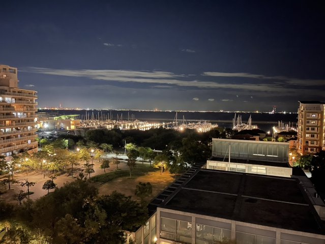 西宮市西宮浜４丁目の中古マンションの展望