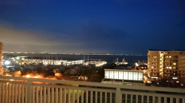 西宮市西宮浜４丁目の中古マンションの展望