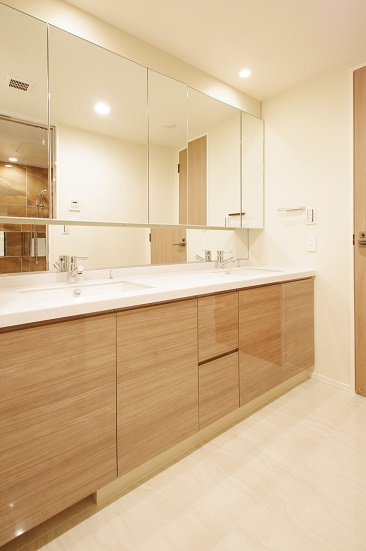 港区赤坂８丁目の賃貸マンションのその他|洗面