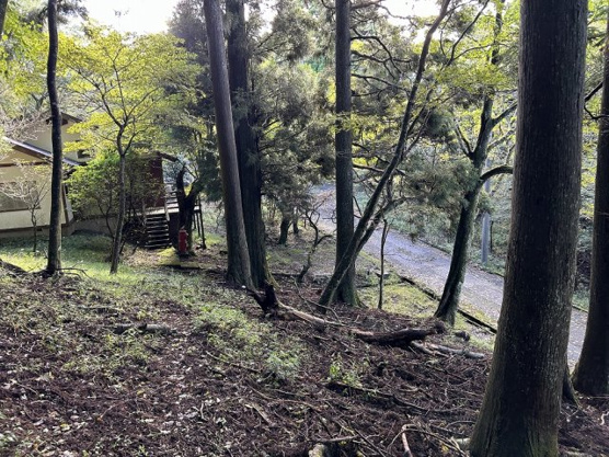 【外観】 | 東急天城高原別荘地　売地
