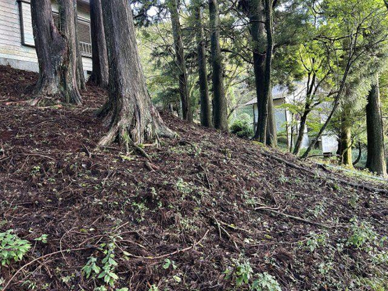 【外観】 | 東急天城高原別荘地　売地