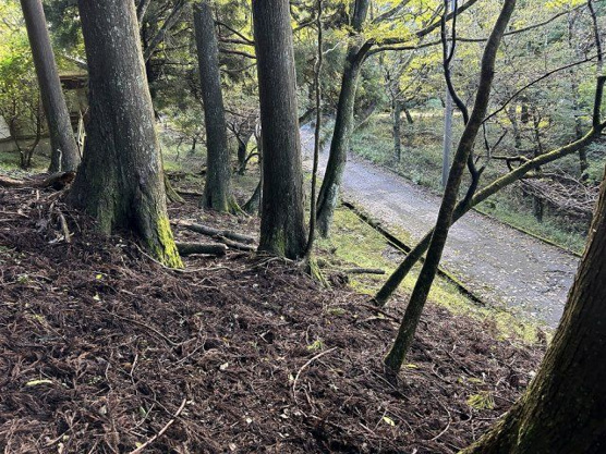 【外観】 | 東急天城高原別荘地　売地
