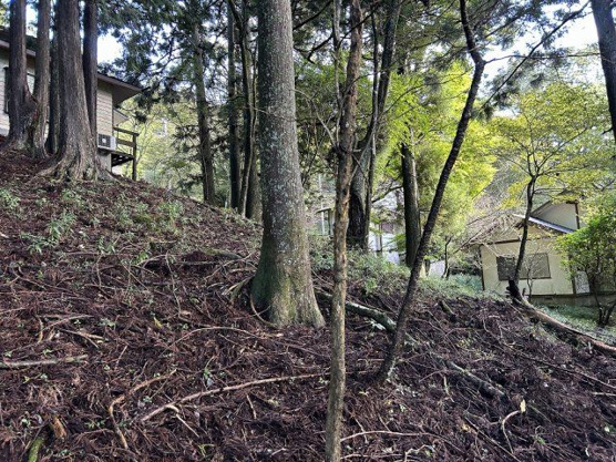 【外観】 | 東急天城高原別荘地　売地