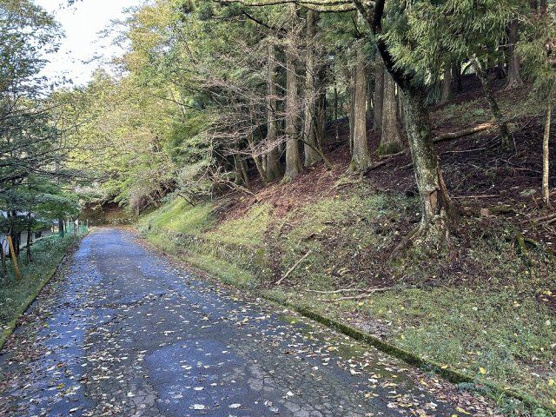 【外観】 | 東急天城高原別荘地　売地